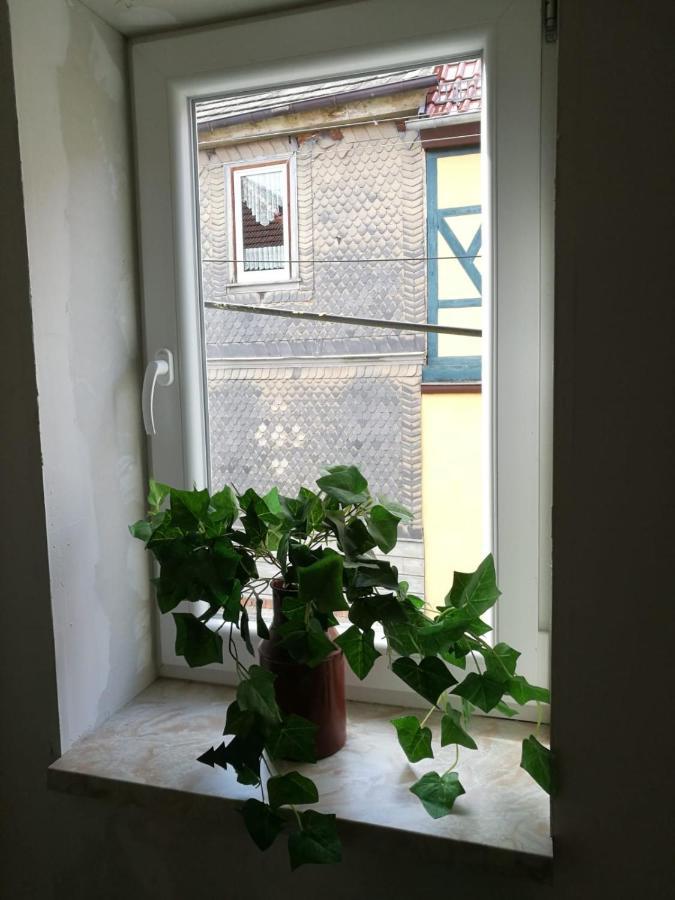 Hainich Oberdorla Kültér fotó